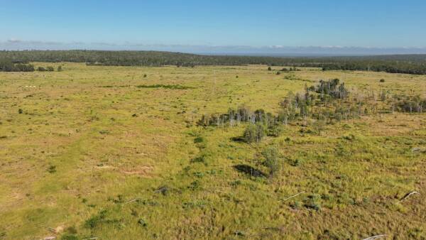 Productive 11,000 acre cattle country property sold at strong auction