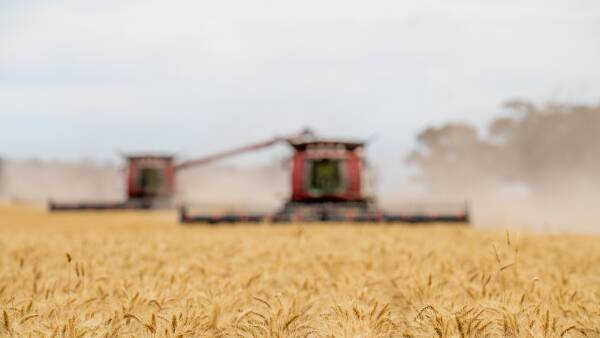 Millions owed: grain trader with Australian links placed in receivership