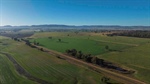 Kapsch Farms delivers prime lambs, cattle and outstanding crops | Video
