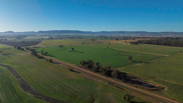 Kapsch Farms delivers prime lambs, cattle and outstanding crops | Video