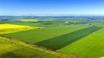 Hot demand expected for cropping country on the tightly held Adelaide Plains