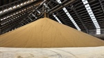 Fert earnings windfall for new Incitec Pivot owner but MAP, DAP unease brews