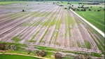 Black family parts with 348ha SA farm after 100 years