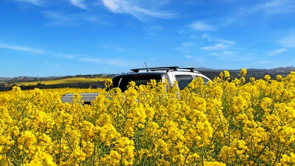 High demand drives new broadacre cropping options to the SA sales market