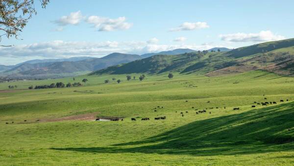 Ardenside Station presents as 12,997 acres of livestock excellence