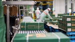 How heat recycling cuts a meat processor's surging gas costs by $530/day