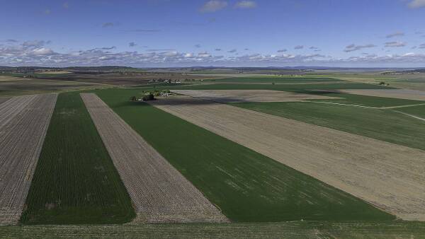Mayfield blessed with deep black self mulching clay soils | Video
