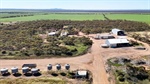 Farm sales hit record low as price expectations clash
