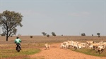 This could hurt. US lamb sector wants to double its remaining market share