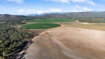 Coffee drives institutional-scale horticultural operation | Video