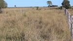 Rising cattle market delivers outstanding Western Downs property result