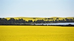 October rain: records in the south, but northern crop downgrades expected