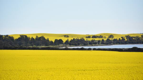 October rain: records in the south, but northern crop downgrades expected