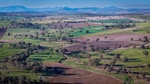 Red hot property auction shows blue ribbon cattle country is in demand | Video
