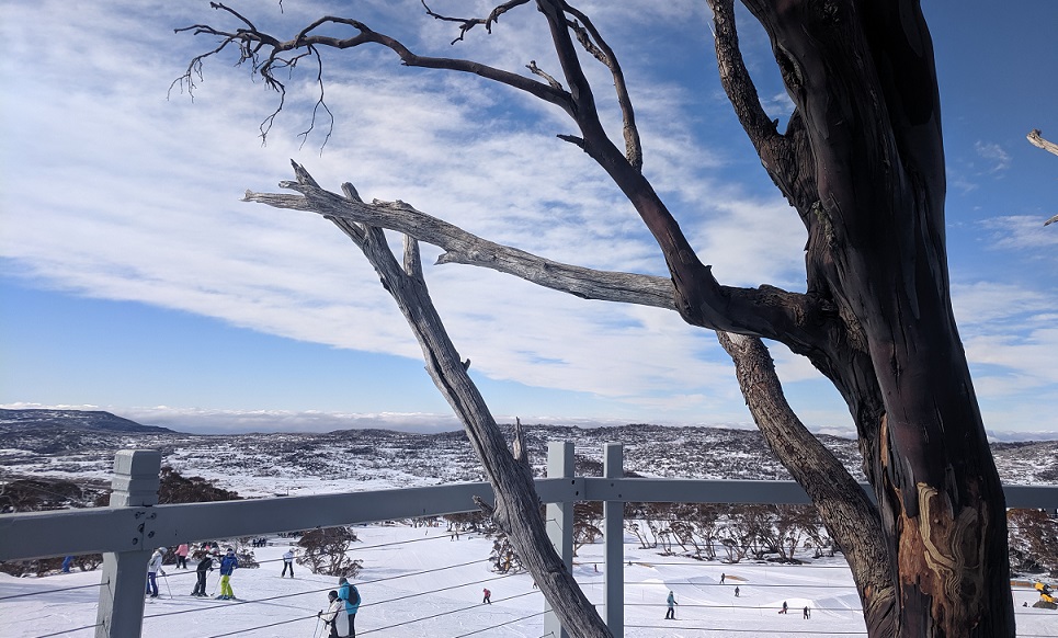 View from a restaurant in Perisher View from a restaurant in Perisher